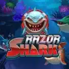 Razor Shark